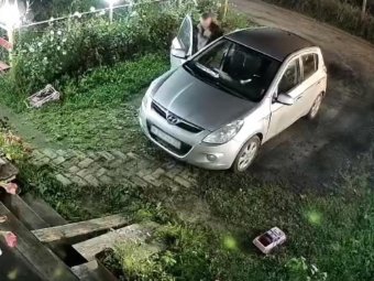 Фото: УМВД. Фото: УМВД.