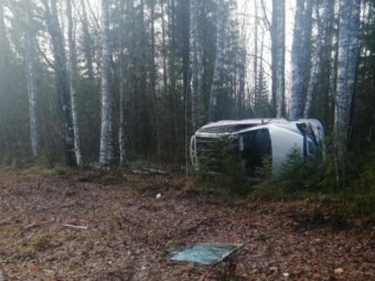 Фото: УМВД. Фото: УМВД.