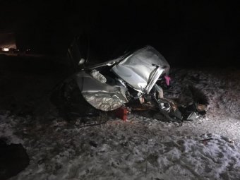 Фото из группы «ВК» «Вести Поморья». Фото из группы «ВК» «Вести Поморья».