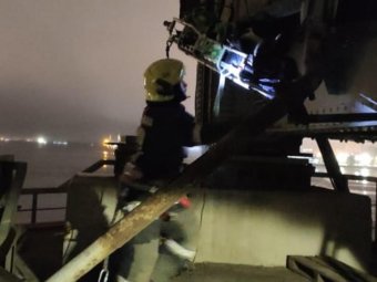 Фото АОСС. Фото АОСС.