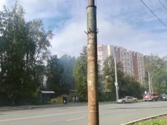 Фото Натальи Грин.