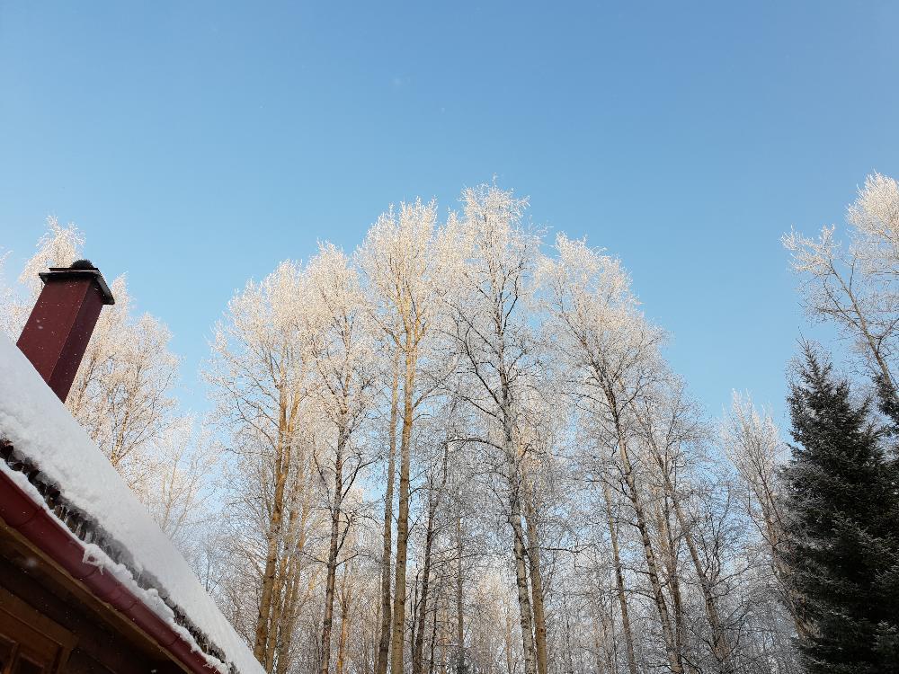 Эхо севера архангельск сегодня