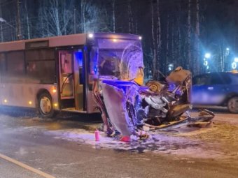 Фото: УМВД по Архангельской области.