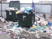 На фото — мусорный коллапс в Котласе.