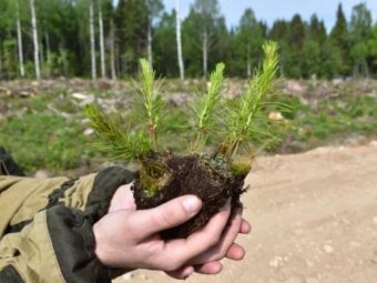 Фото: ГК УЛК.