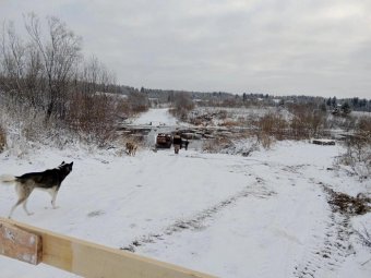 Фото: vk.com/club.nakipelo29region