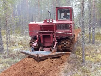 Фото: пресс-служба правительства Архангельской области.