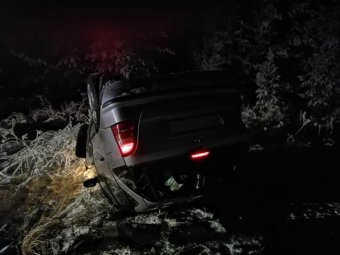 Фото пресс-службы УМВД по Архангельской области.